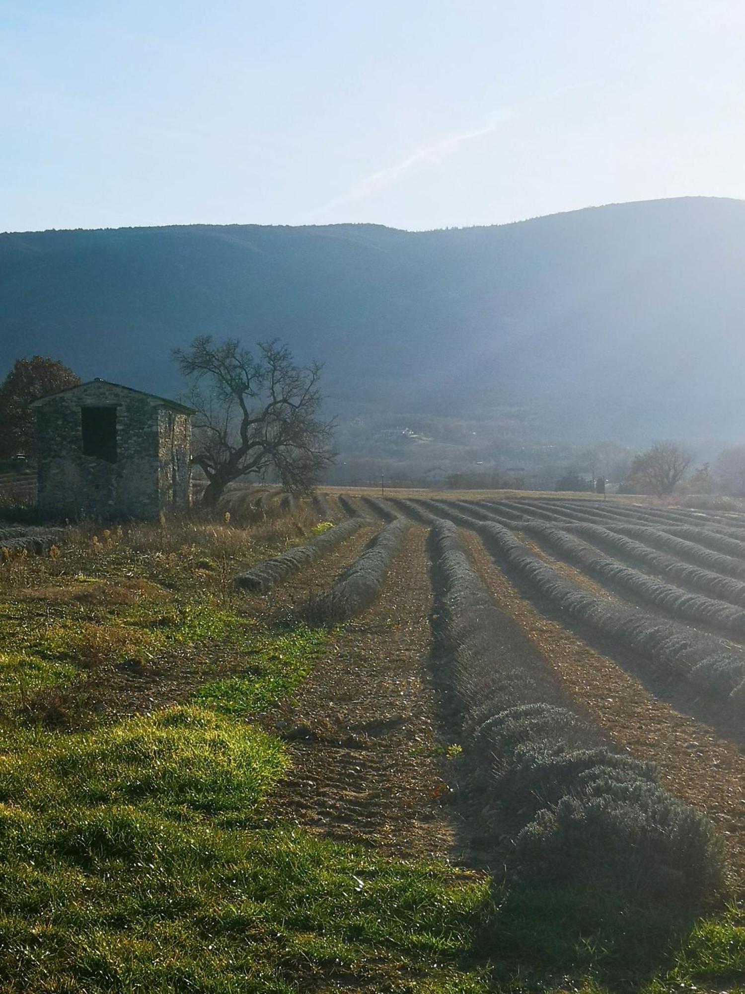 Le Petit Paradis Saint-Martin-de-Castillon المظهر الخارجي الصورة