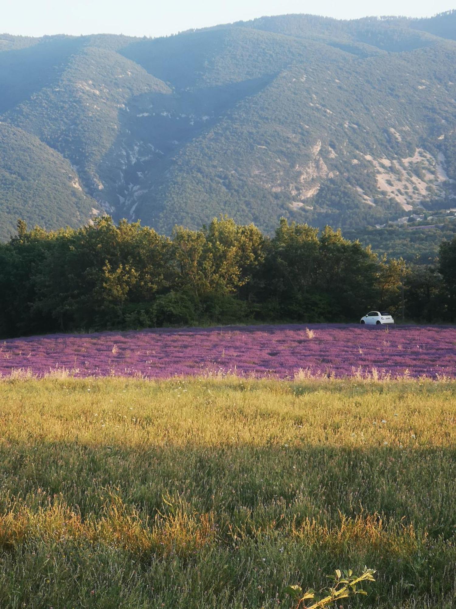 Le Petit Paradis Saint-Martin-de-Castillon المظهر الخارجي الصورة